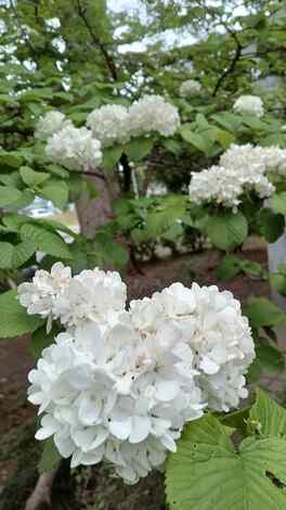 子育てのあれこれ みんなで話そう！