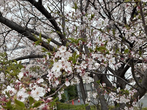 子育てのあれこれ みんなで話そう！