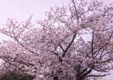 子育てのあれこれ みんなで話そう！