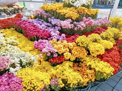 子育てのあれこれ みんなで話そう！