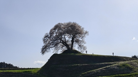 子育てのあれこれ みんなで話そう！