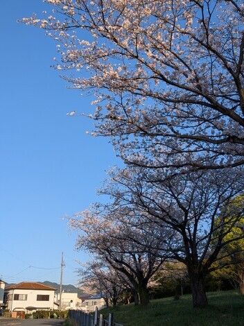 子育てのあれこれ みんなで話そう！