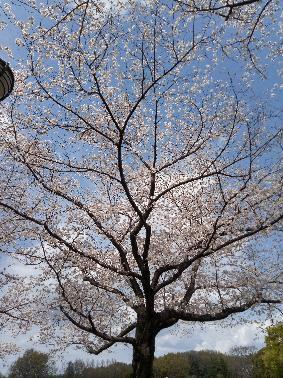 子育てのあれこれ みんなで話そう！