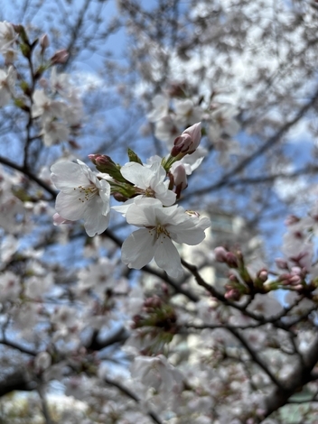 子育てのあれこれ みんなで話そう！