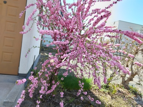子育てのあれこれ みんなで話そう！
