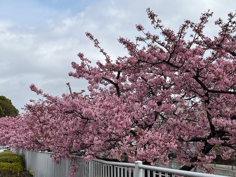 子育てのあれこれ みんなで話そう！