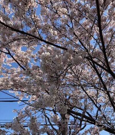 子育てのあれこれ みんなで話そう！