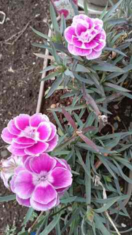 子育てのあれこれ みんなで話そう！