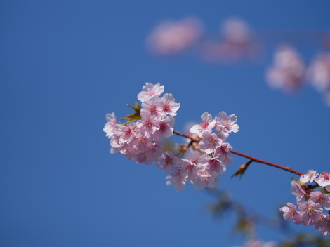 子育てのあれこれ みんなで話そう！