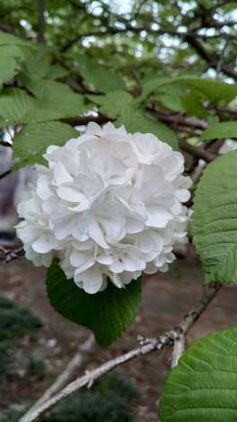 子育てのあれこれ みんなで話そう！