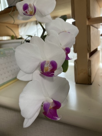 子育てのあれこれ みんなで話そう！