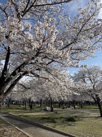 子育てのあれこれ みんなで話そう！