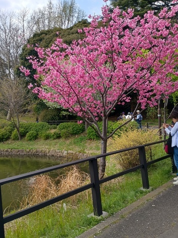 子育てのあれこれ みんなで話そう！