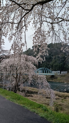 子育てのあれこれ みんなで話そう！