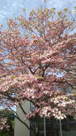 子育てのあれこれ みんなで話そう！