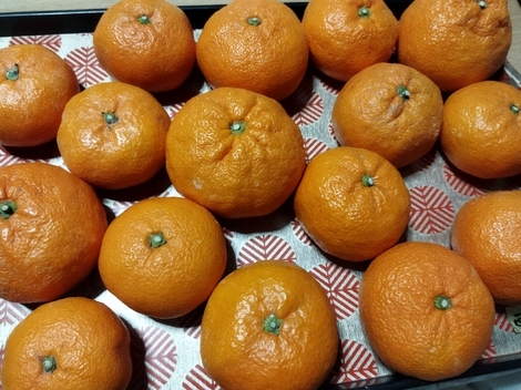 子育てのあれこれ みんなで話そう！