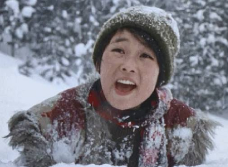 僕のテレビ日記