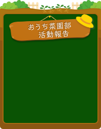 おうち菜園部 活動報告