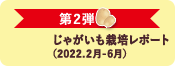 第2弾 じゃがいも栽培レポート