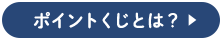 ポイントくじとは?