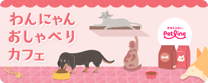 わんにゃん おしゃべりカフェ by ペットライン