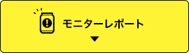 モニターレポート